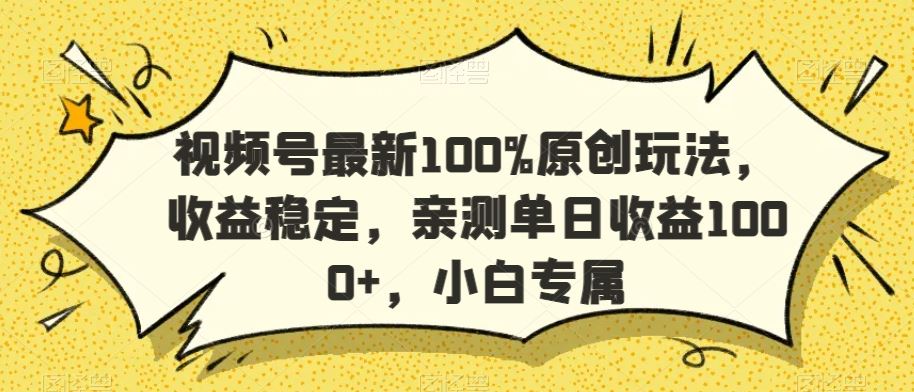 视频号最新100%原创玩法，收益稳定，亲测单日收益1000+，小白专属【揭秘】-桐创网