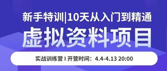 虚拟资料项目新手特训，10天从入门到精通，保姆级实操教学-桐创网