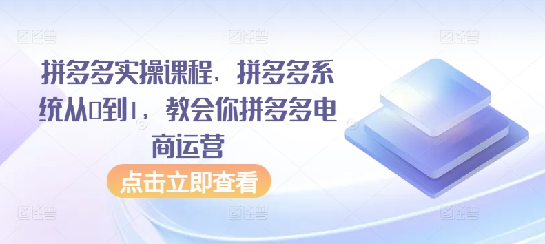 拼多多实操课程，拼多多系统从0到1，教会你拼多多电商运营-桐创网