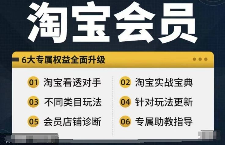 淘宝会员【淘宝所有课程，全面分析对手】，初级到高手全系实战宝典-桐创网