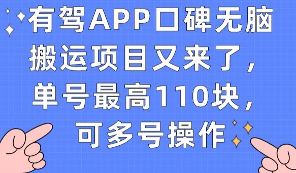 有驾APP口碑无脑搬运项目又来了，单号最高110块，可多号操作-桐创网