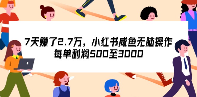 （12192期）7天收了2.7万，小红书咸鱼无脑操作，每单利润500至3000-桐创网