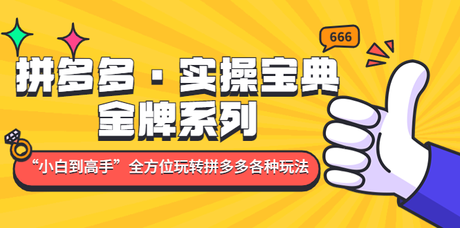 （4934期）拼多多·实操宝典：金牌系列“小白到高手”带你全方位玩转拼多多各种玩法-桐创网