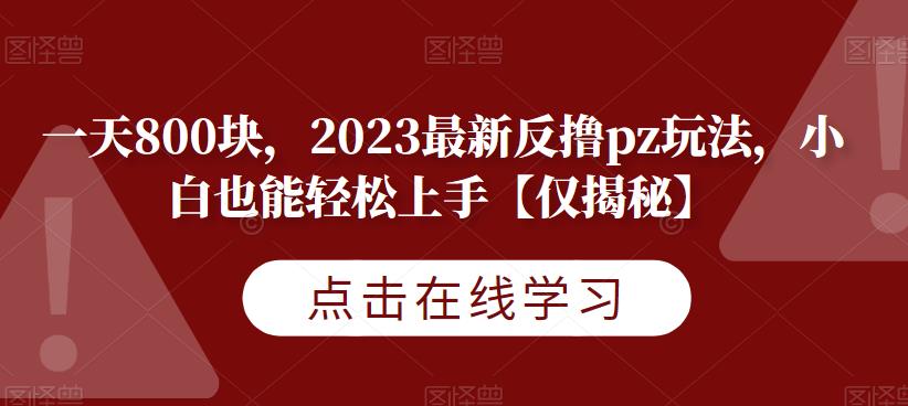 一天800块，2023最新反撸pz玩法，小白也能轻松上手【仅揭秘】-桐创网