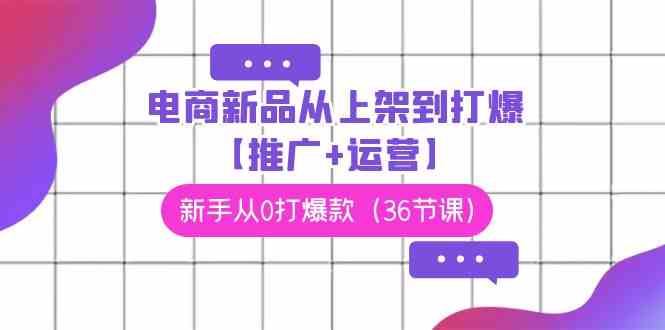 （9286期）电商 新品从上架到打爆【推广+运营】，新手从0打爆款（36节课）-桐创网