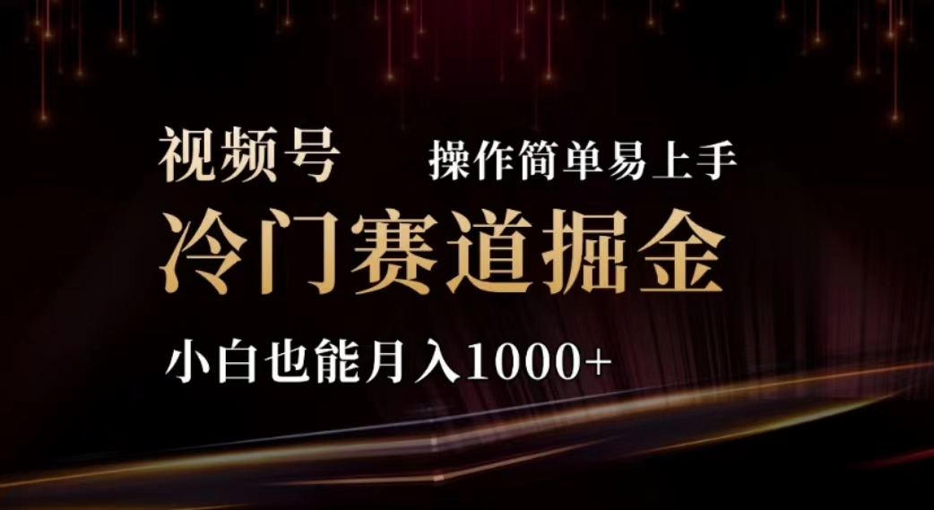 （11378期）2024视频号冷门赛道掘金，操作简单轻松上手，小白也能月入1000+-桐创网