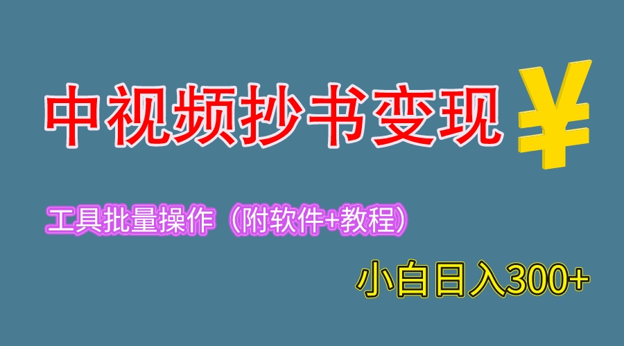 （6246期）2023中视频抄书变现（附工具+教程），一天300+，特别适合新手操作的副业-桐创网