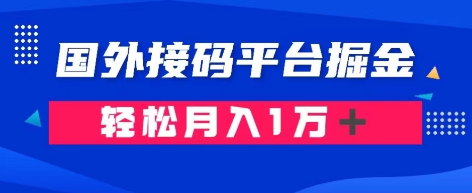 通过国外接码平台掘金：成本1.3，利润10＋，轻松月入1万＋【揭秘】-桐创网