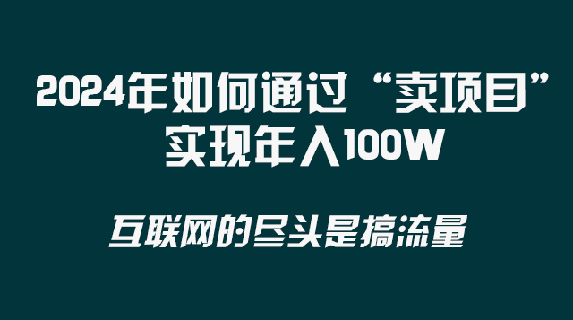 2024年如何通过“卖项目”实现年入100W-桐创网