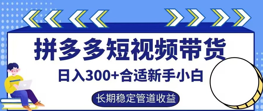 拼多多短视频带货日入300+有长期稳定被动收益，合适新手小白【揭秘】-桐创网