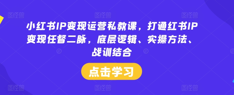 小红书IP变现运营私教课，打通红书IP变现任督二脉，底层逻辑、实操方法、战训结合-桐创网