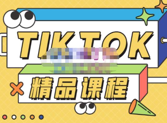 电商孵化中心·TikTok精品课程，教你玩转海外抖音，低成本创业，带您从0开始玩转TikTok-桐创网