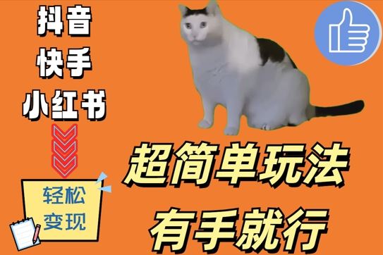 超简单玩法，有手就行，靠猫咪视频日入500+【揭秘】-桐创网