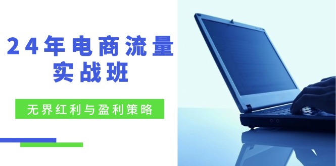 （12168期）24年电商流量实战班：无界 红利与盈利策略，终极提升/关键词优化/精准…-桐创网