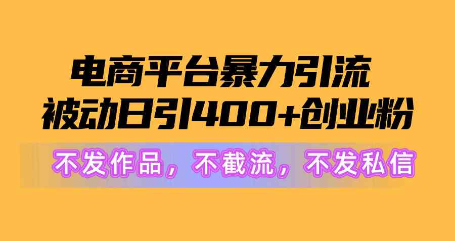 （10168期）电商平台暴力引流,被动日引400+创业粉不发作品，不截流，不发私信-桐创网