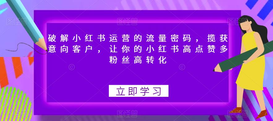 破解小红书运营的流量密码，揽获意向客户，让你的小红书高点赞多粉丝高转化-桐创网