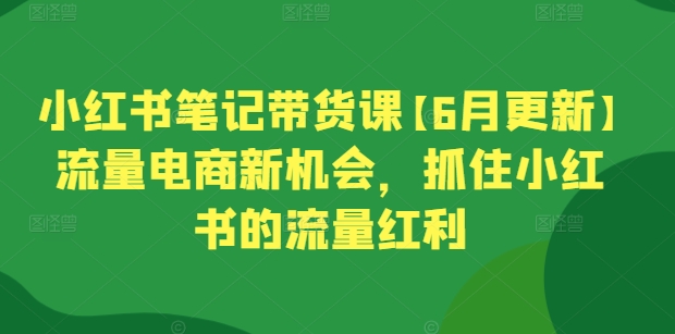 小红书笔记带货课【6月更新】流量电商新机会，抓住小红书的流量红利-桐创网