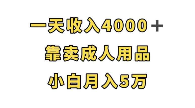 一天收入4000+，靠卖成人用品，小白轻松月入5万【揭秘】-桐创网