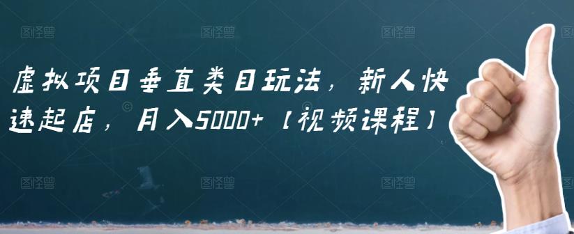 虚拟项目垂直类目玩法，新人快速起店，月入5000+【视频课程】-桐创网