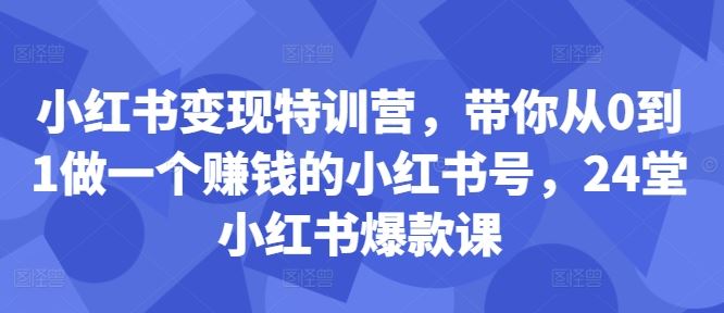 小红书变现特训营，带你从0到1做一个赚钱的小红书号，24堂小红书爆款课-桐创网