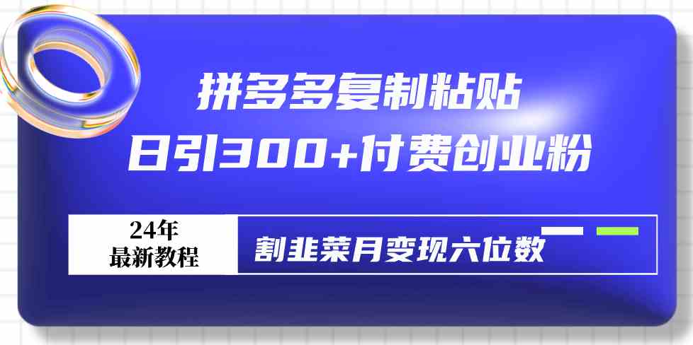 （9129期）拼多多复制粘贴日引300+付费创业粉，割韭菜月变现六位数最新教程！-桐创网