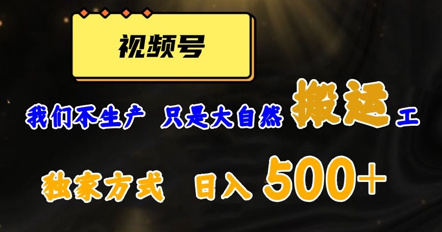 视频号轻松搬运日赚500+，一个1分钟1条原创视频【揭秘】-桐创网