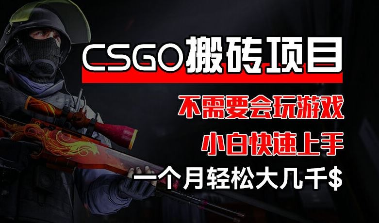 CSGO 装备搬砖项目，操作简单，不需要会玩游戏，小白也能快速上手，一个月轻松大几千【揭秘】-桐创网