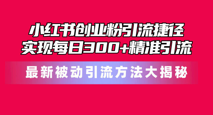 （10692期）小红书创业粉引流捷径！最新被动引流方法大揭秘，实现每日300+精准引流-桐创网