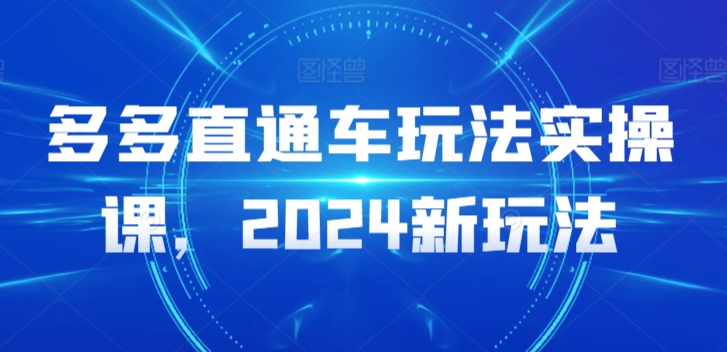 多多直通车玩法实操课，2024新玩法-桐创网