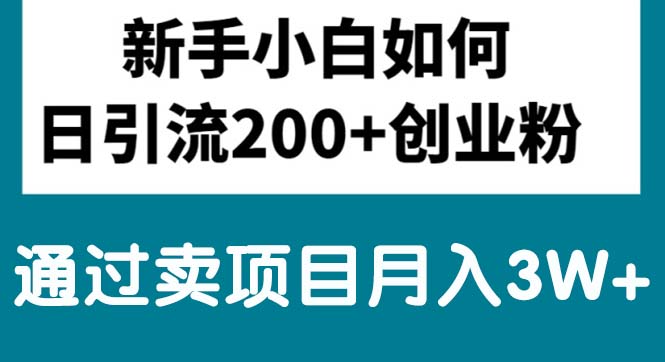 （10843期）新手小白日引流200+创业粉,通过卖项目月入3W+-桐创网