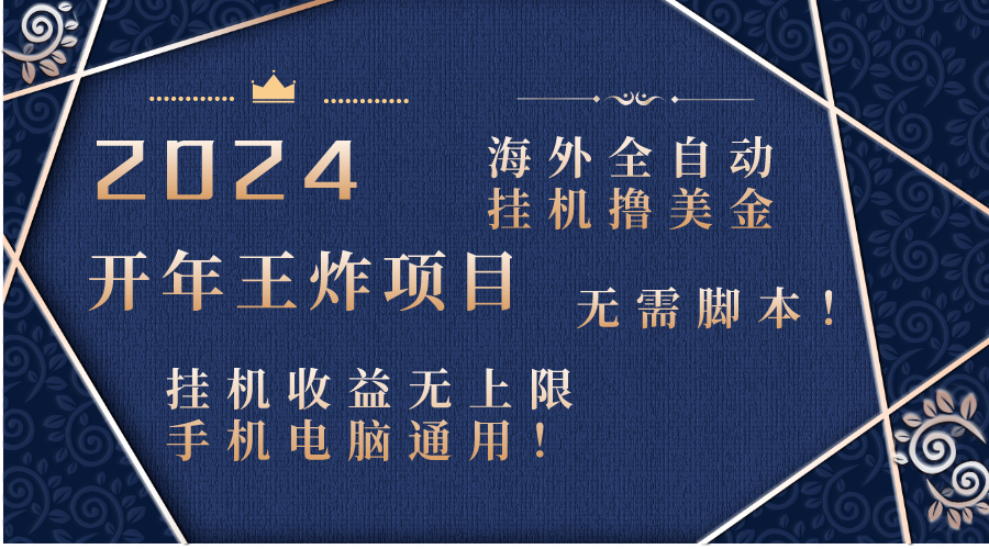 （8494期）2024海外全自动挂机撸美金项目！手机电脑均可，无需脚本，收益无上限！-桐创网