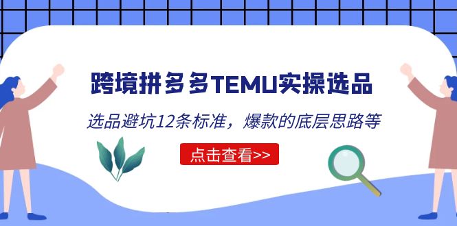 （5402期）跨境拼多多TEMU实操选品运营方法，选品避坑12条标准，爆款的底层思路等-桐创网