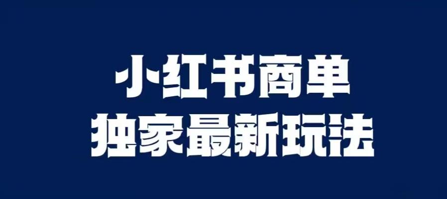 小红书商单最新独家玩法，剪辑时间短，剪辑难度低，能批量做号【揭秘】-桐创网