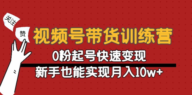 （4446期）视频号带货训练营：0粉起号快速变现，新手也能实现月入10w+-桐创网