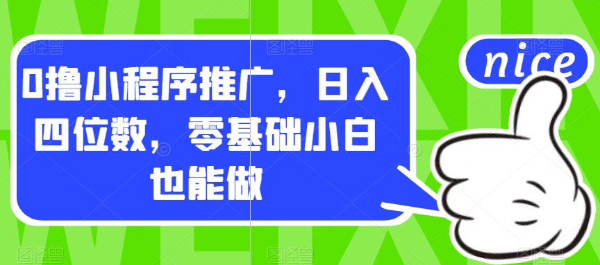 0撸小程序推广，日入四位数，零基础小白也能做【揭秘】-桐创网