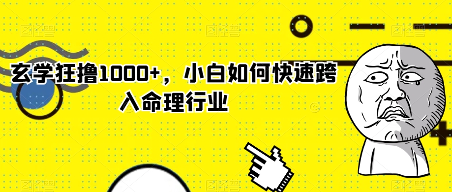 玄学狂撸1000+，小白如何快速跨入命理行业【揭秘】-桐创网