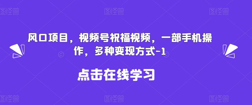 新风口项目，视频号祝福视频，一部手机操作，多种变现方式【揭秘】-桐创网