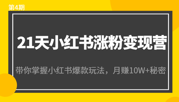 21天小红书涨粉变现营（第4期）：带你掌握小红书爆款玩法，月赚10W+秘密-桐创网