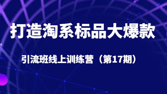 打造淘系标品大爆款引流班线上训练营（第17期）5天直播授课-桐创网