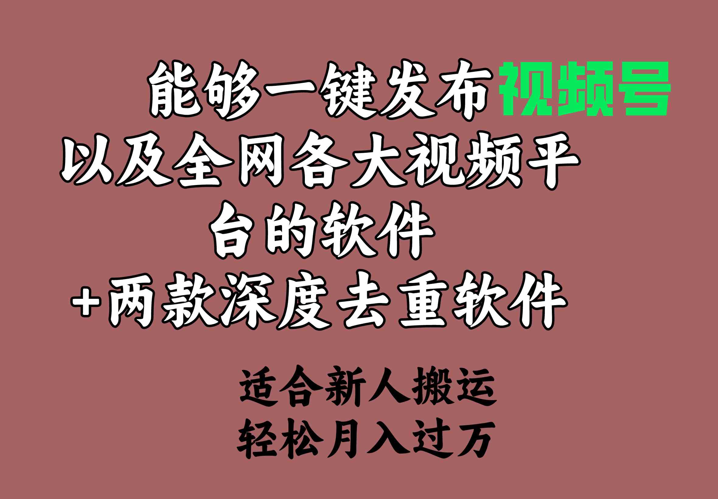 （9319期）能够一键发布视频号以及全网各大视频平台的软件+两款深度去重软件 适合…-桐创网