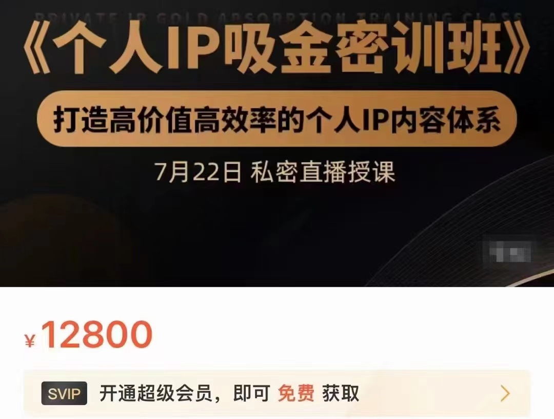 个人IP吸金密训班，打造高价值高效率的个人IP内容体系（价值12800元）-桐创网