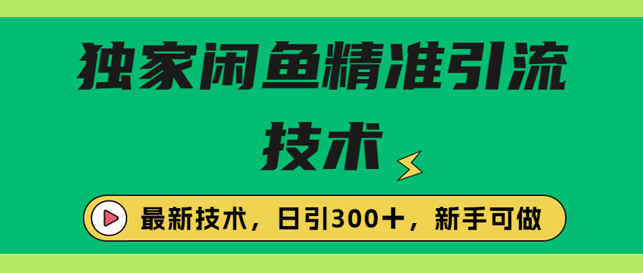 （6635期）独家闲鱼引流技术，日引300＋实战玩法-桐创网