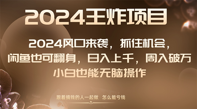 （8401期）2024风口项目来袭，抓住机会，闲鱼也可翻身，日入上千，周入破万，小白…-桐创网