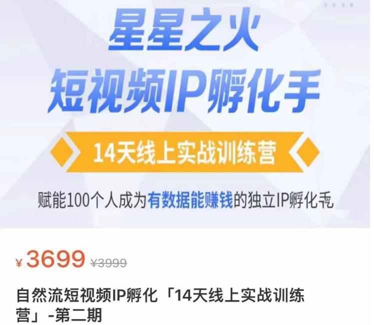 瑶瑶·自然流短视频IP孵化第二期，14天线上实战训练营，赋能100个人成为有数据能赚钱的独立IP孵化手-桐创网