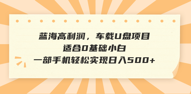 （6600期）蓝海高利润，车载U盘项目，适合0基础小白，一部手机轻松实现日入500+-桐创网