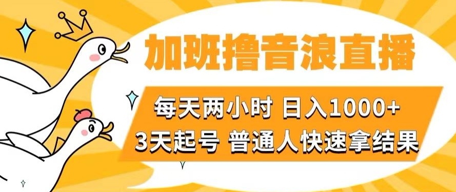 加班撸音浪直播，每天两小时，日入1000+，直播话术才3句，3天起号，普通人快速拿结果【揭秘】-桐创网