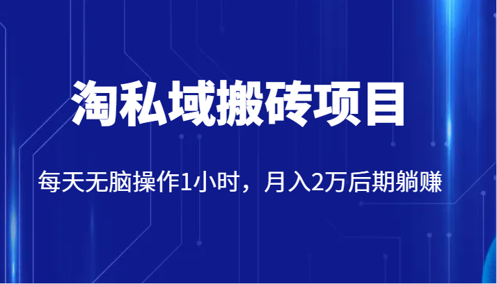 价值2980的淘私域搬砖项目，每天无脑操作1小时，月入2万后期躺赚-桐创网