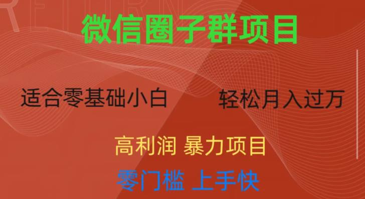 微信资源圈子群项目，零门槛，易上手，一个群1元，一天轻轻松松300+【揭秘】-桐创网