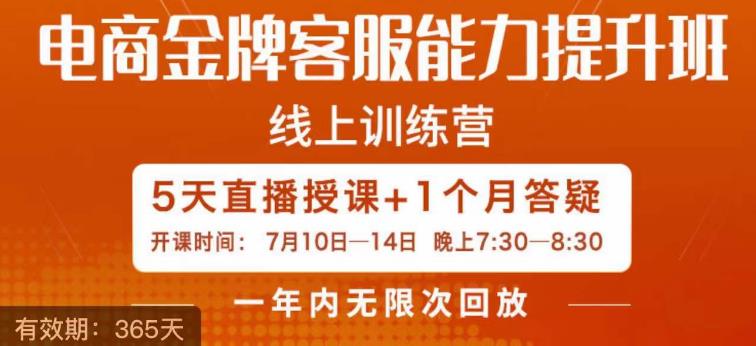 电商金牌客服能力提升班，提升客服能力是你店铺业绩的关键要素-桐创网