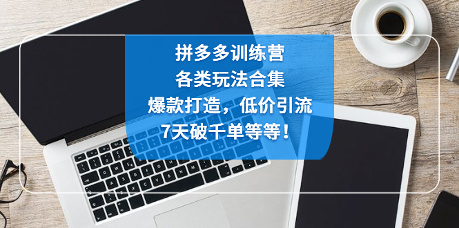 （4693期）拼多多训练营：各玩法合集，爆款打造，低价引流，7天破千单等等！-桐创网